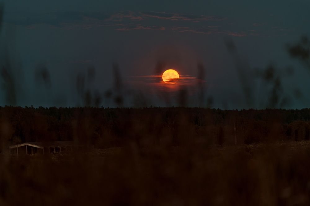 Photograph by 