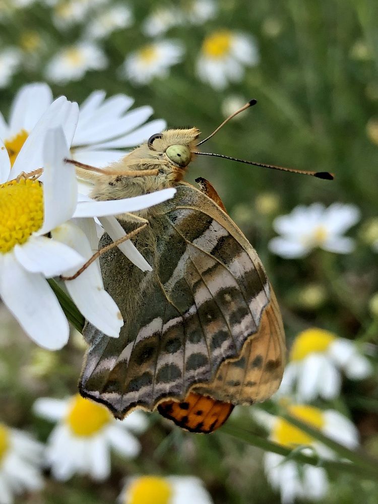 Фотография автора Евгения Елисеева