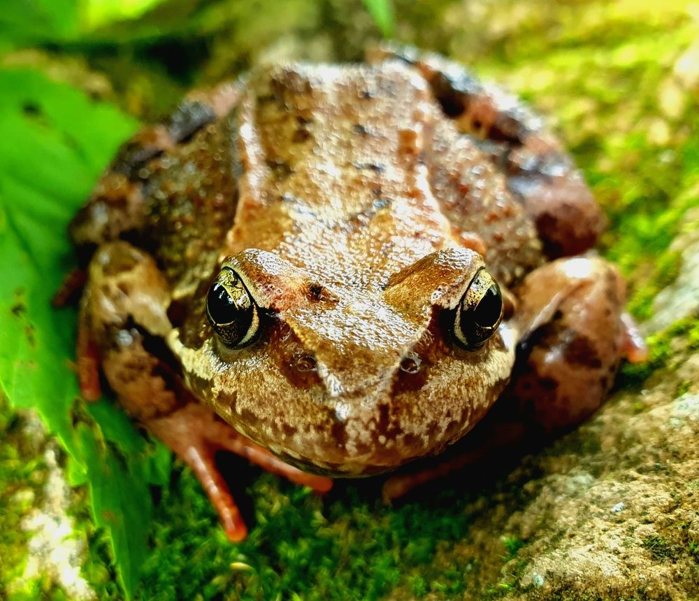 Photograph by Ева К