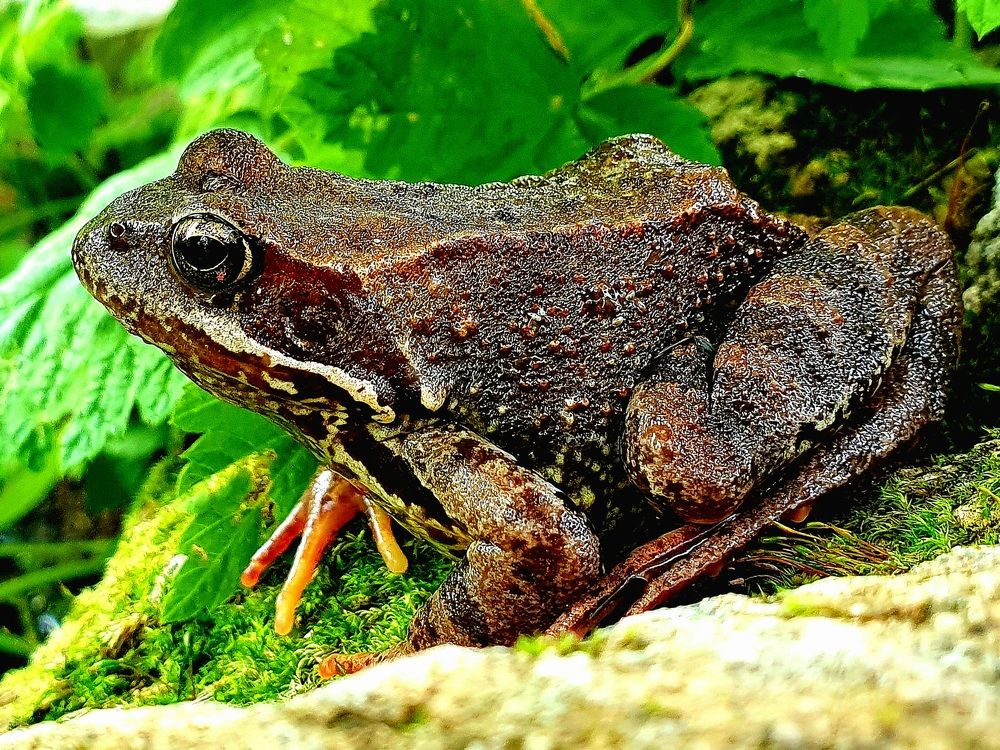 Photograph by Ева К