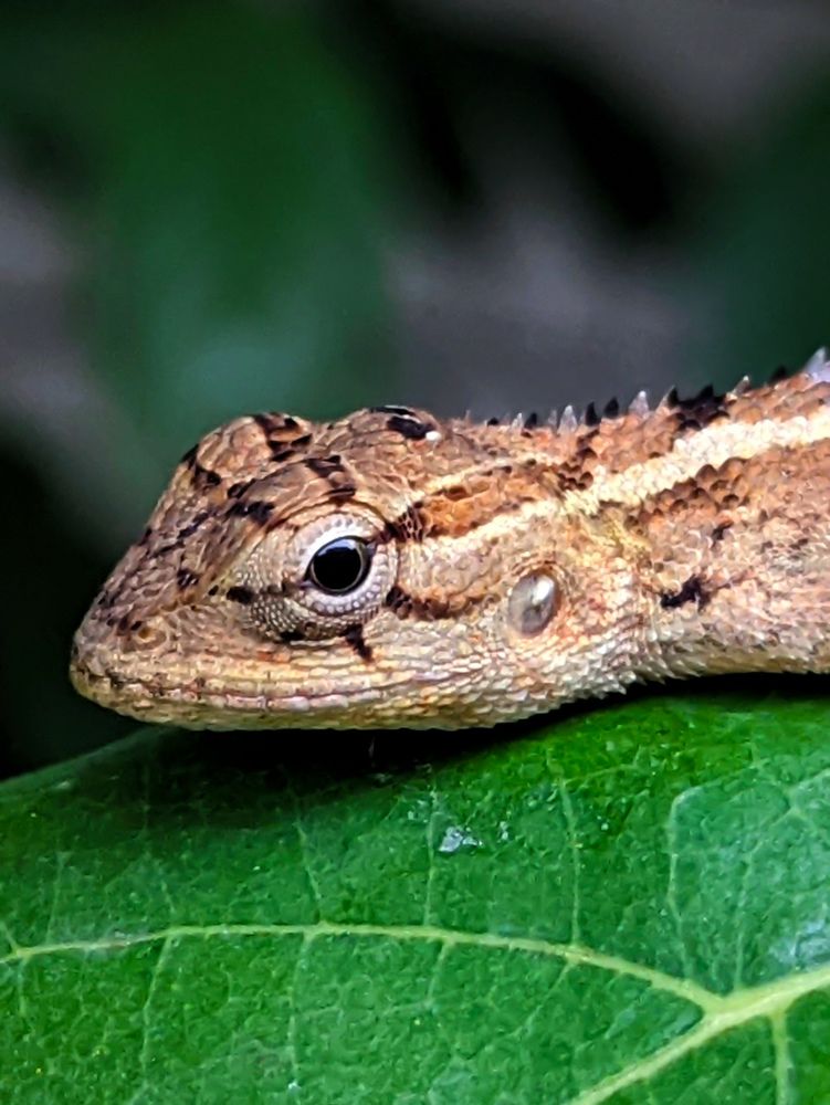 Photograph by SARAVANA MANICKAM