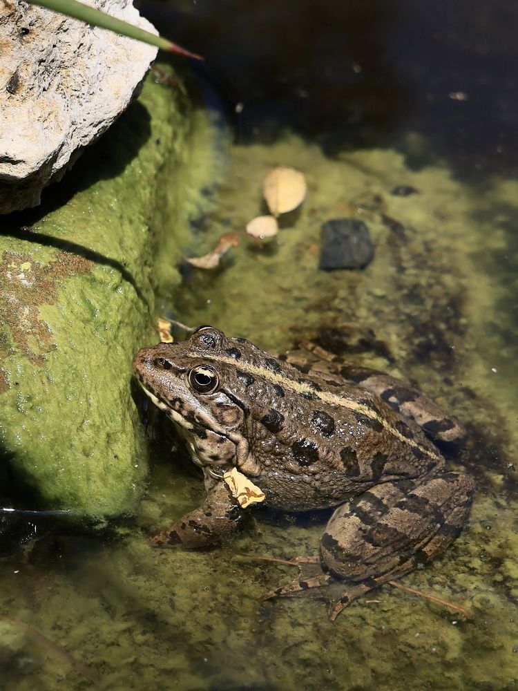 Photograph by Евгения Казакова