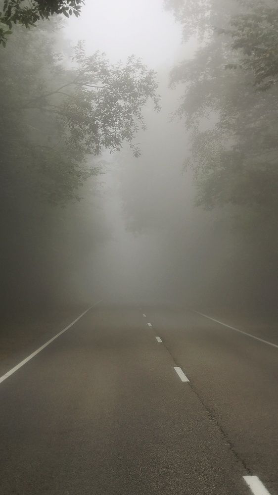 Photograph by Елена Акимова