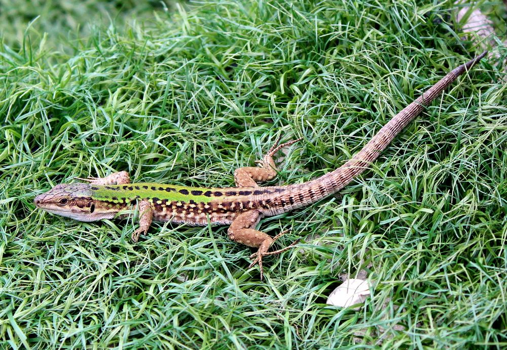 Photograph by Николай Немчанинов