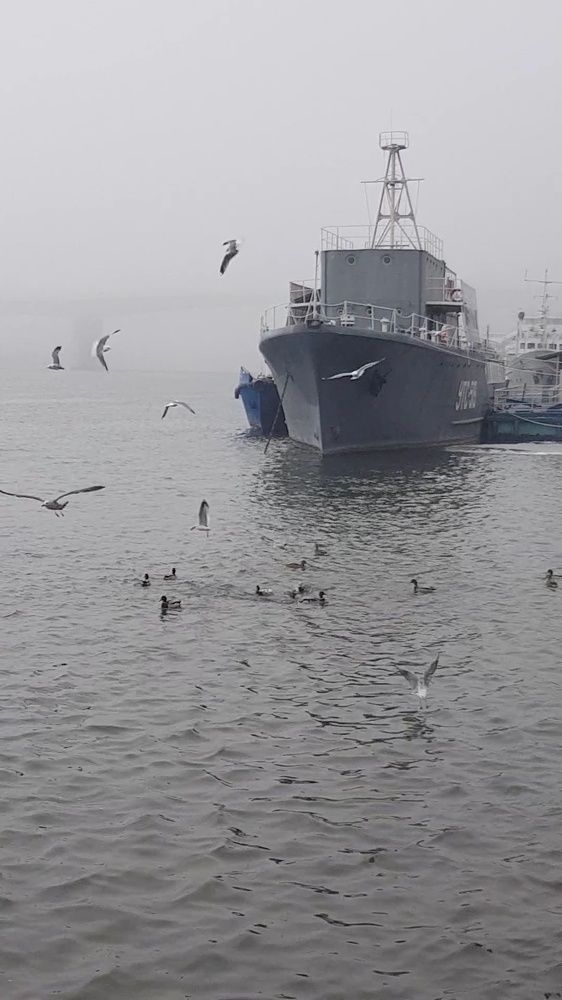 Фотография автора Ольга Мусина