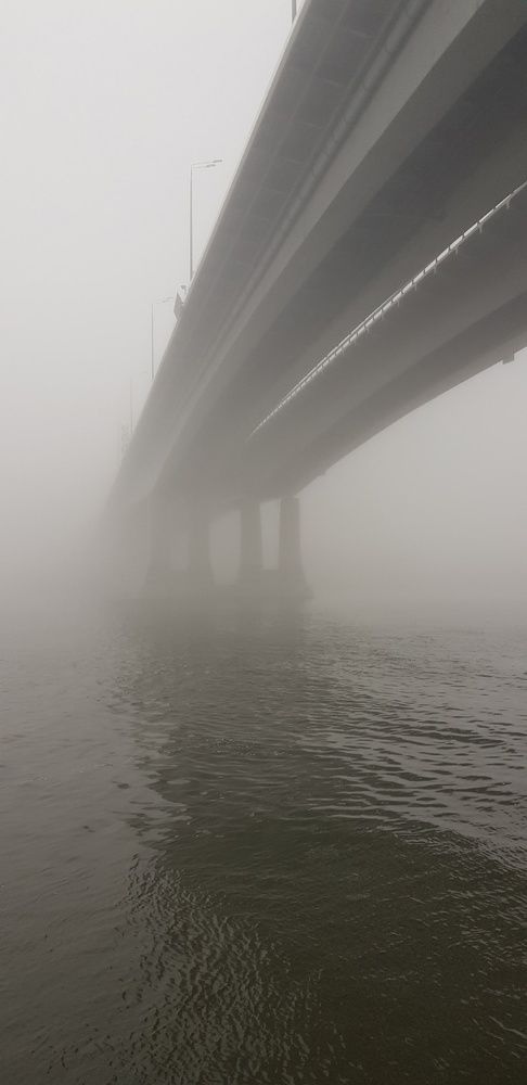 Фотография автора Ольга Мусина