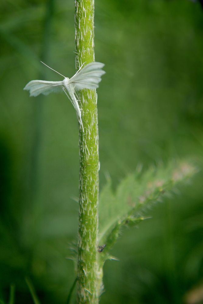 Photograph by Владимир Кривенко