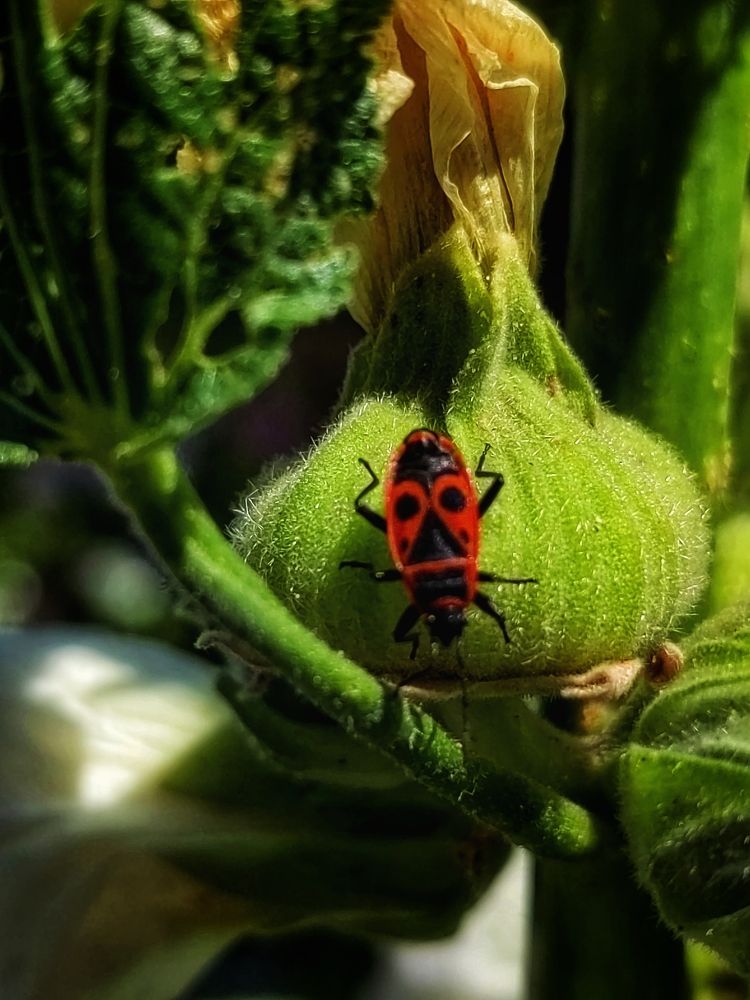 Photograph by Елена Пономарева