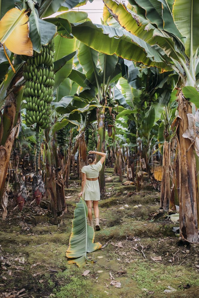 Photograph by Полина Данилова