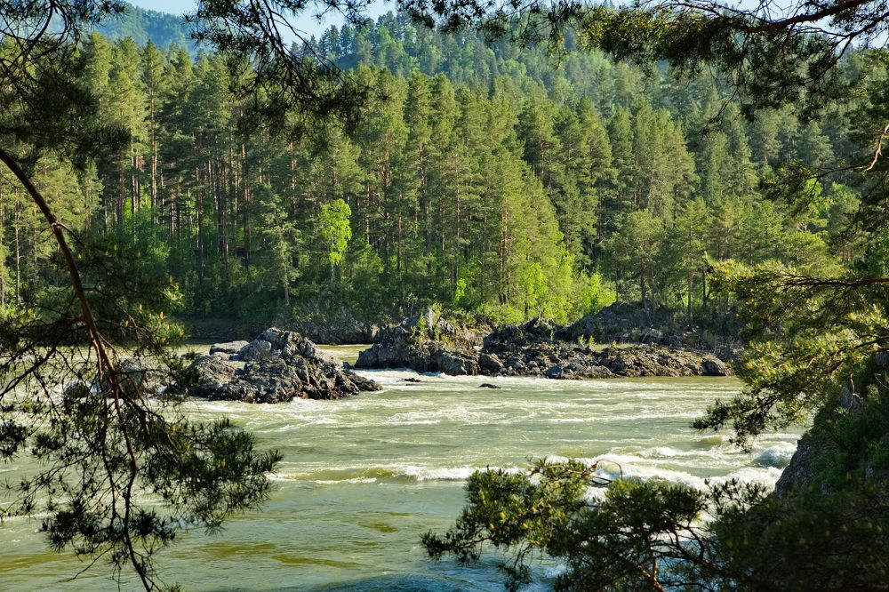 Photograph by Олег Раков