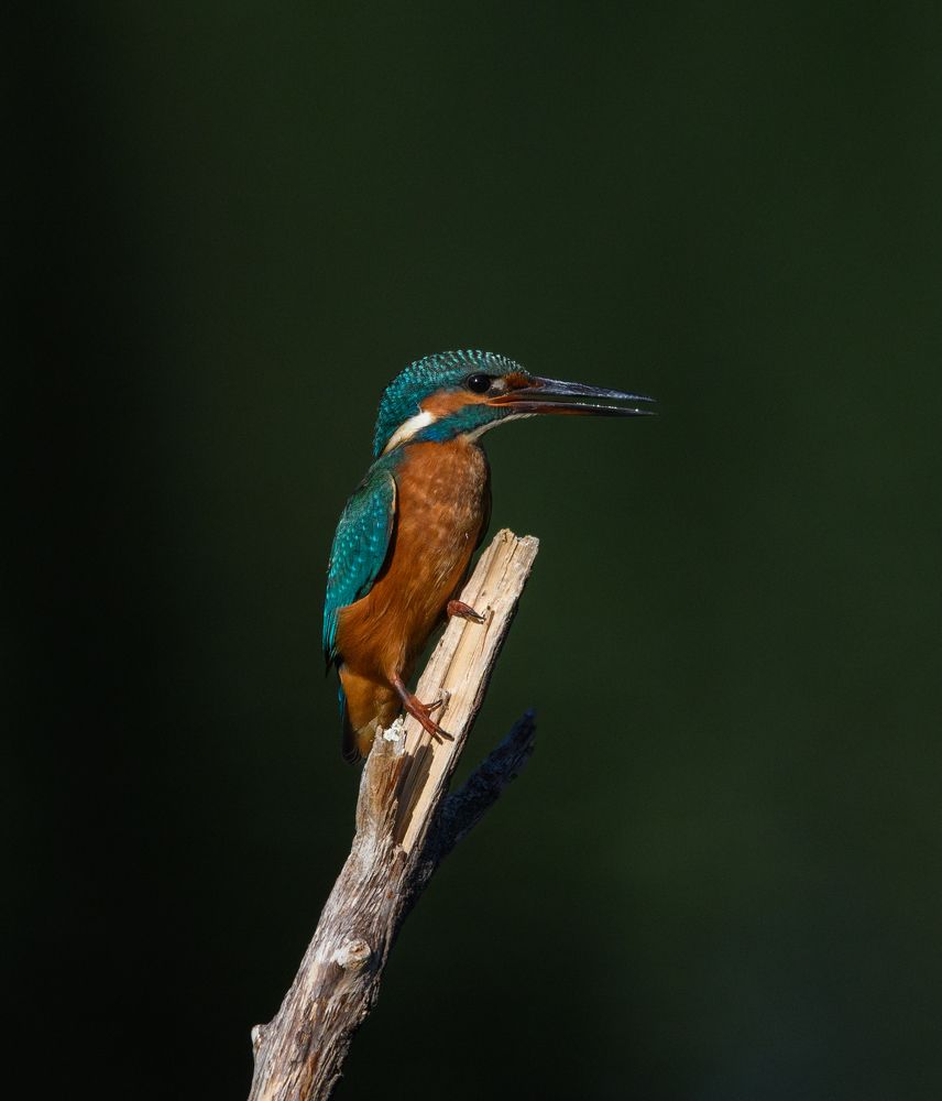 Photograph by Luis Miguel Rivas