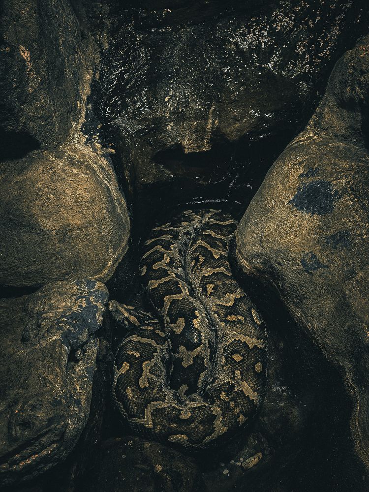 Photograph by Влад Апанасов