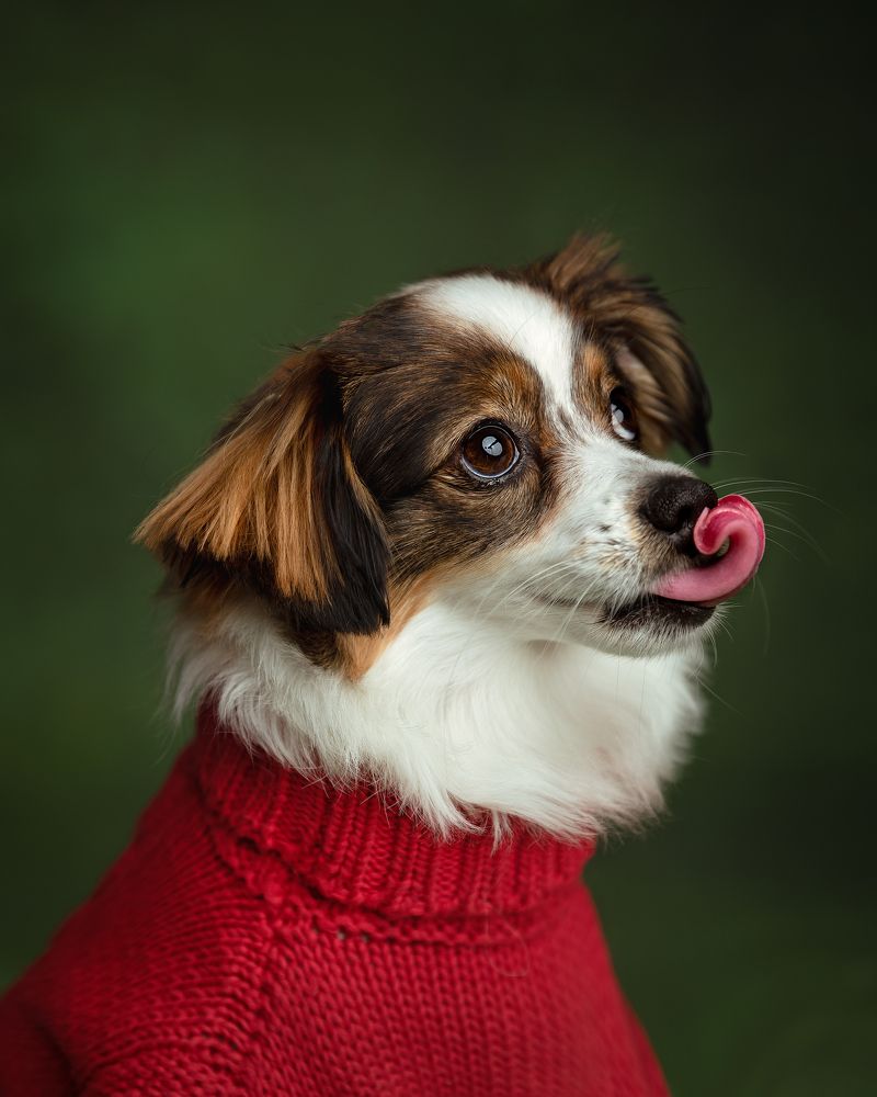 Photograph by Joanna García