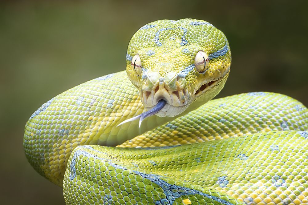 Photograph by Dzulfikri Dzulfikri
