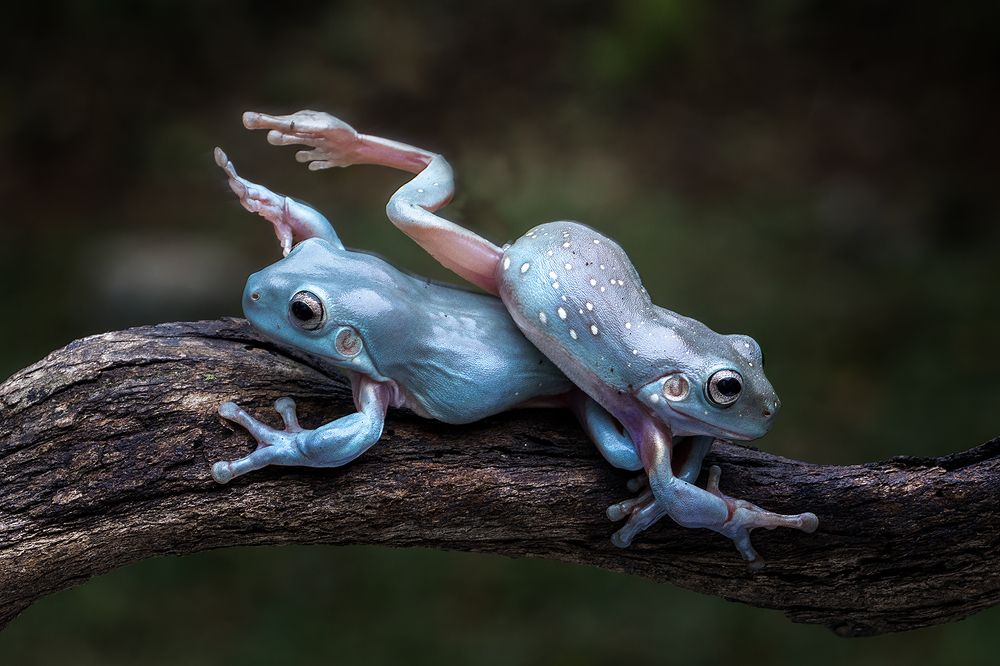 Photograph by Dzulfikri Dzulfikri