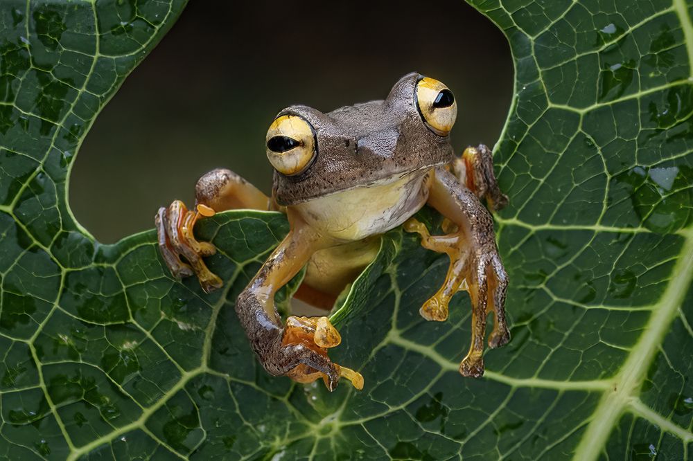 Photograph by Dzulfikri Dzulfikri