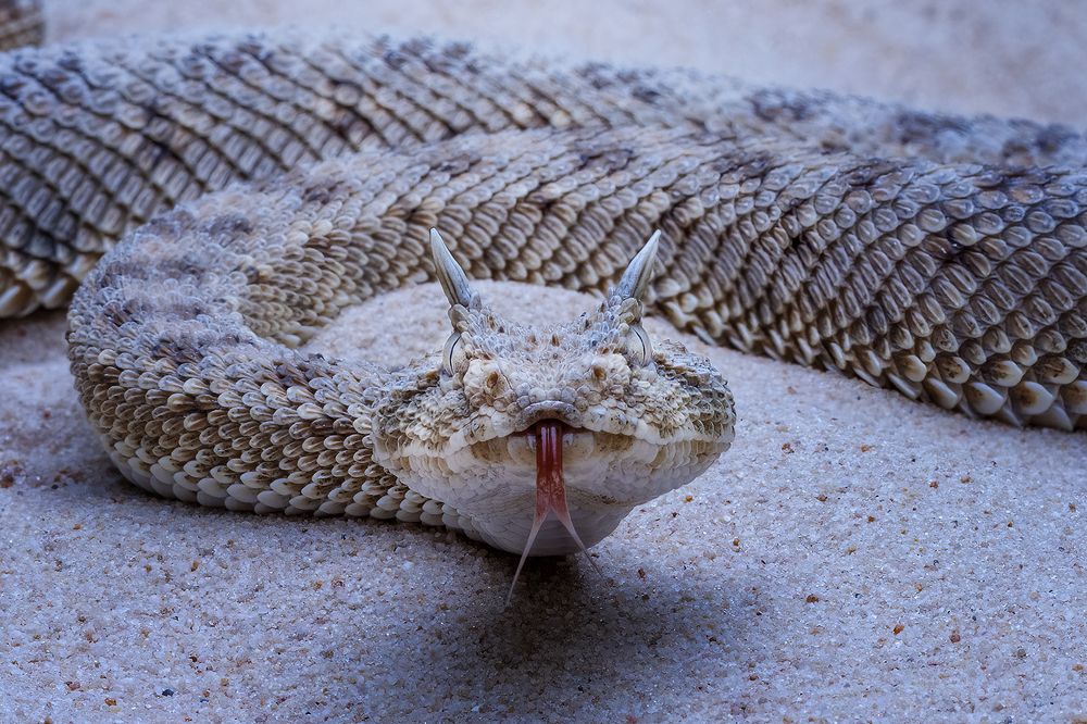 Photograph by Dzulfikri Dzulfikri