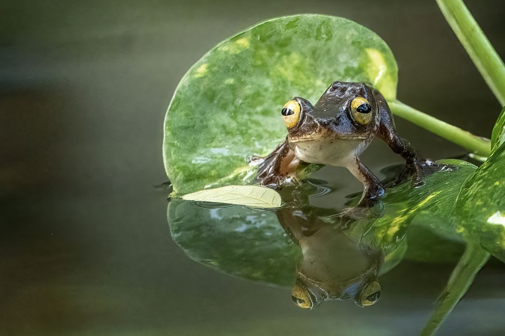 Photograph by Dzulfikri Dzulfikri