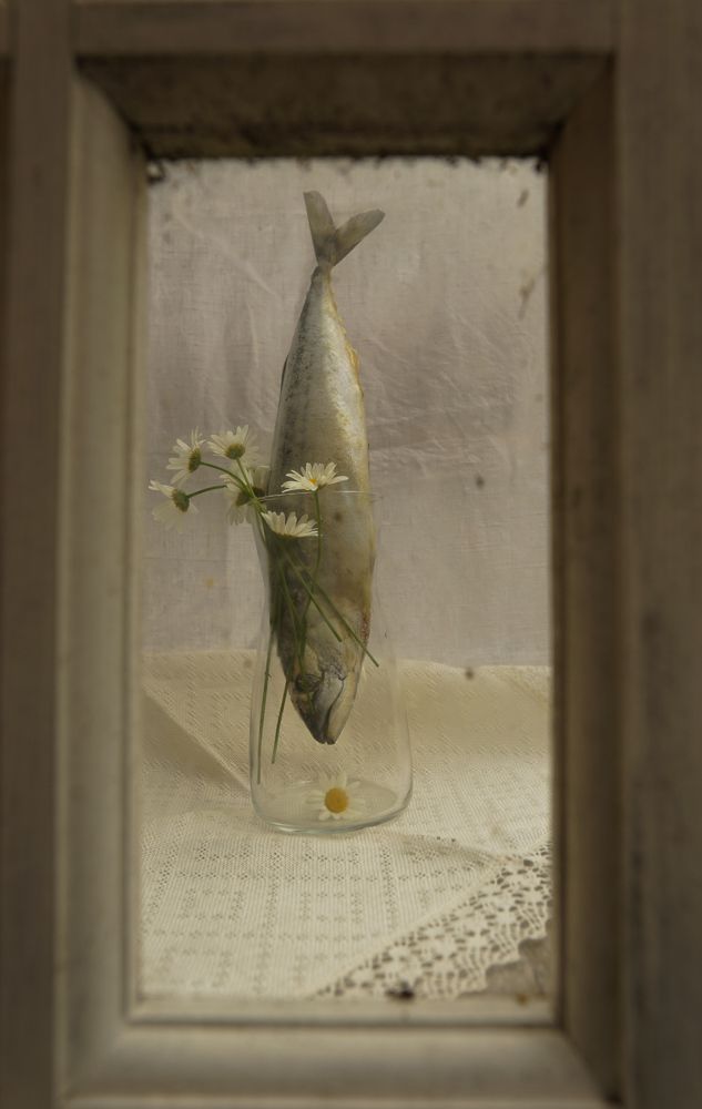 Photograph by Александра Ярнова