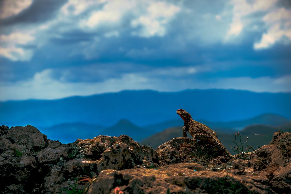 Фотография автора anton