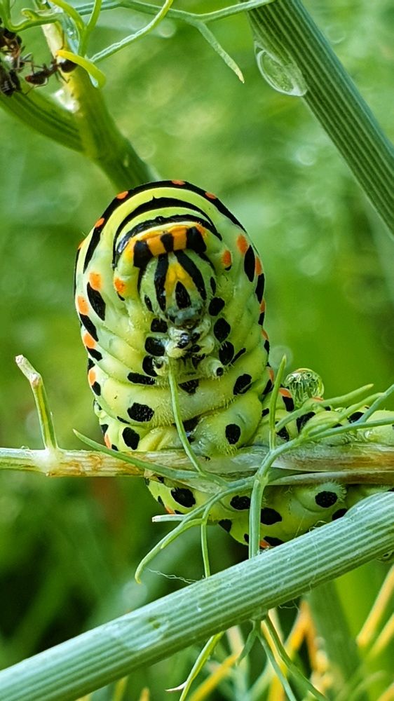 Photograph by Viktorova