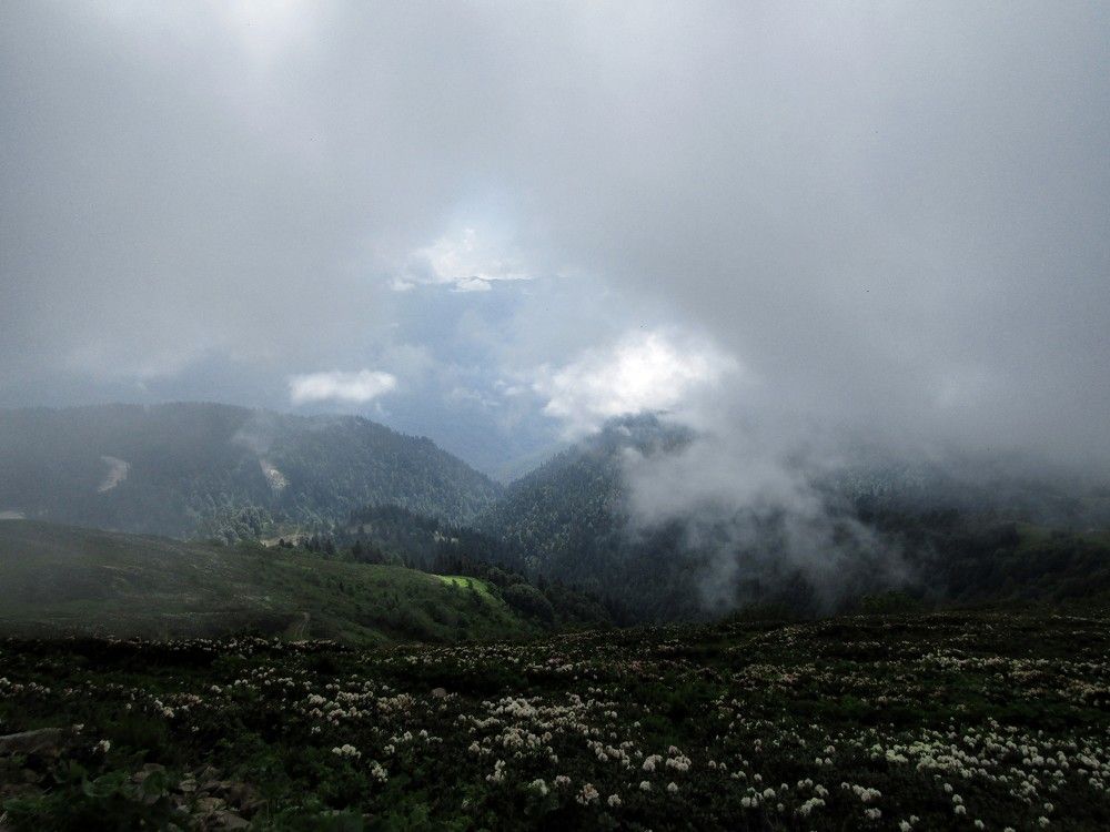 Photograph by Екатерина Салий