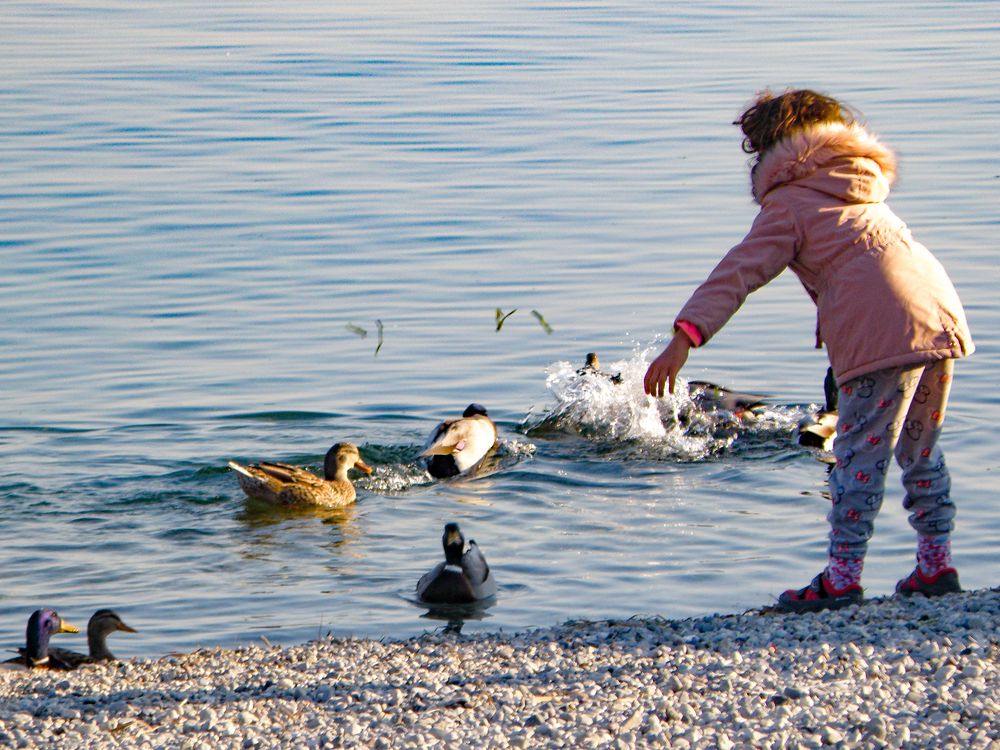 Bon appetit, my little friends!