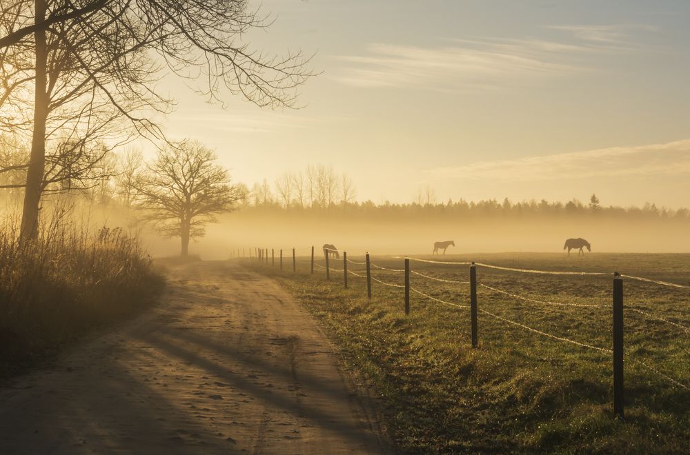 Photograph by Agita Leimane