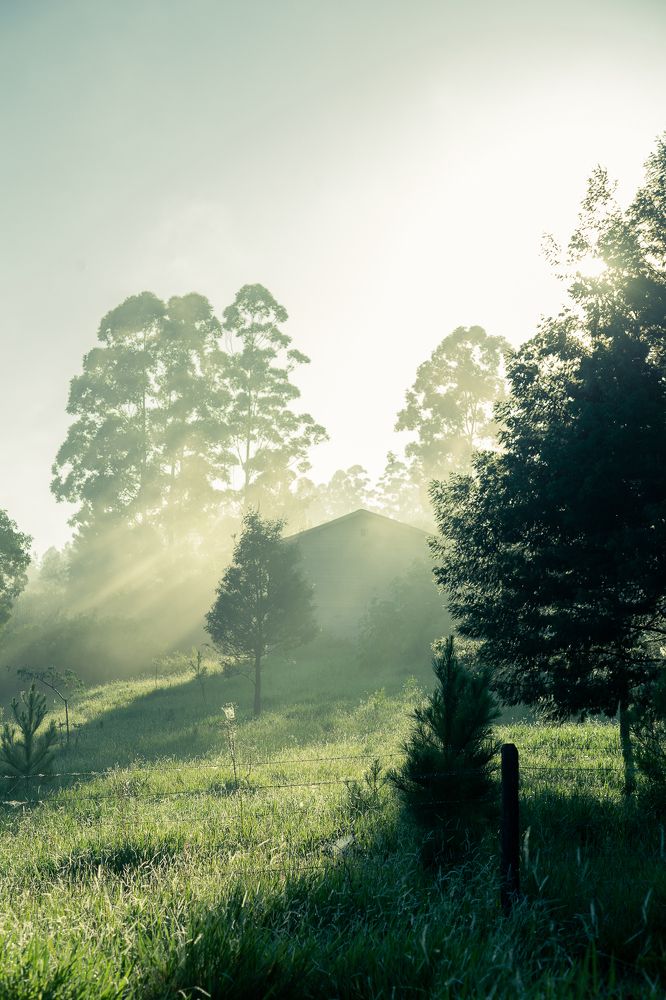 Photograph by Rodrigo Silveira