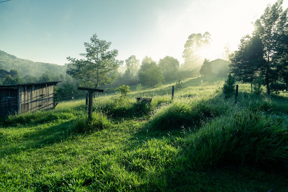 Photograph by Rodrigo Silveira