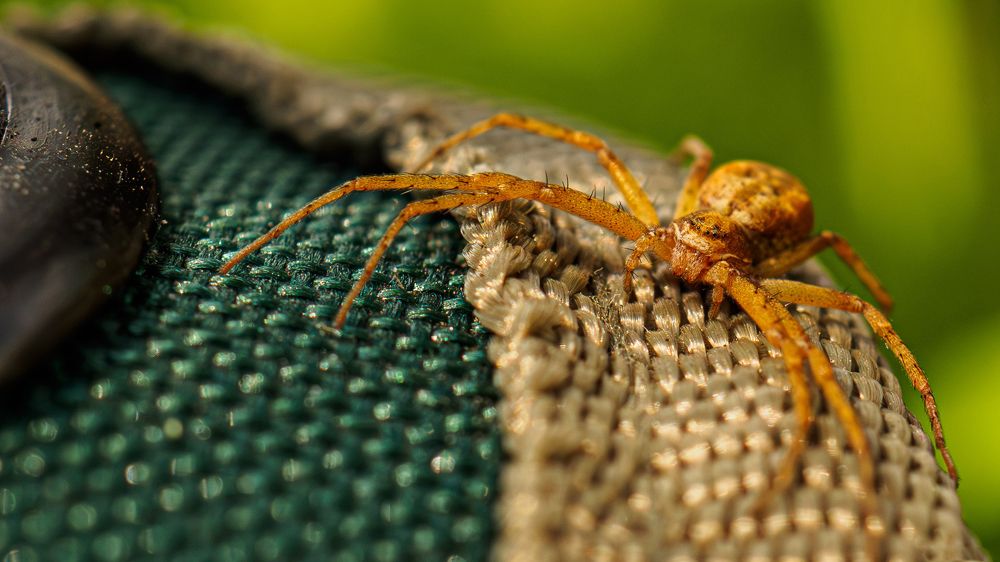 Photograph by Андрей Мичурин