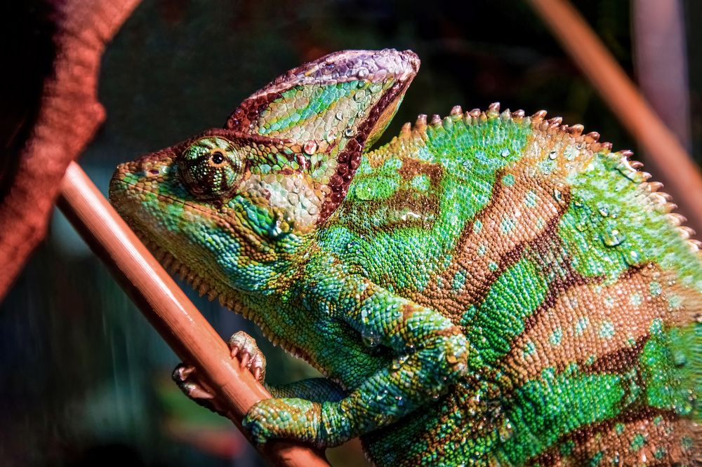 Photograph by Сергей Газизов