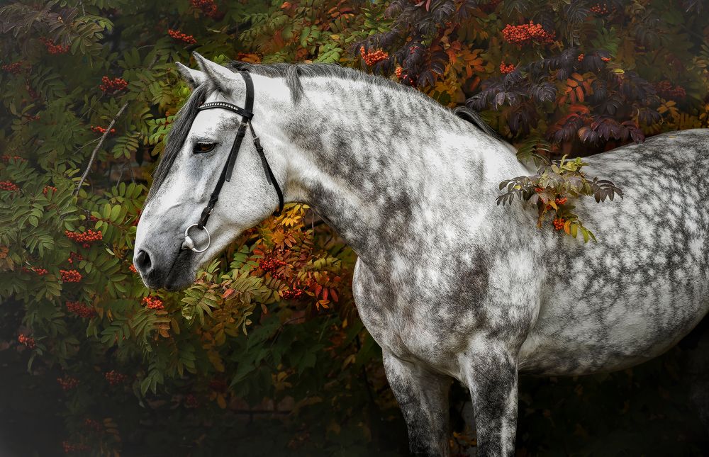 Photograph by Кристина Горковская