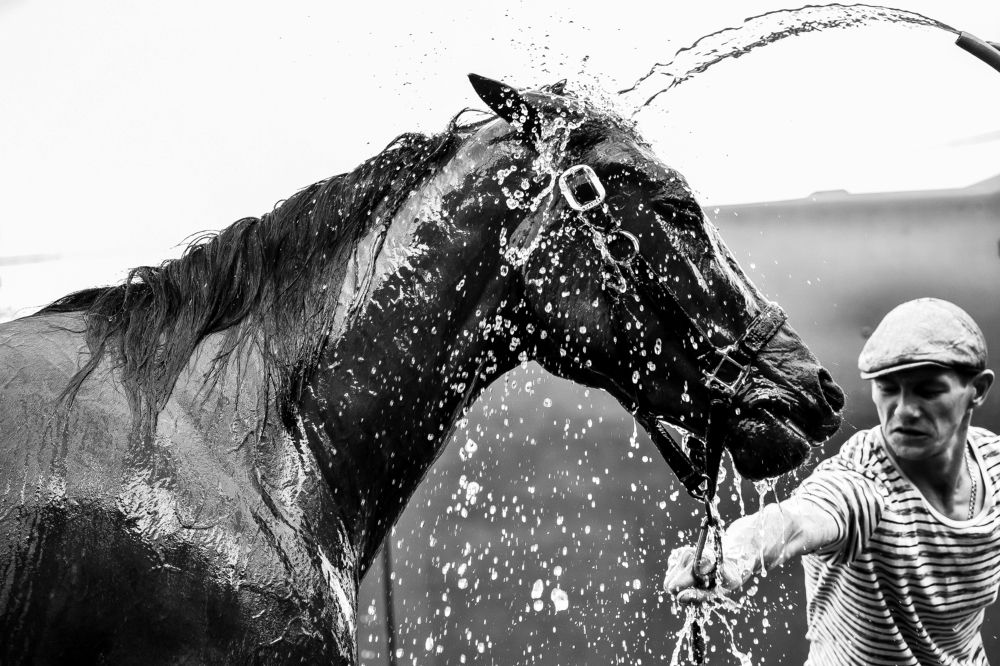 Photograph by Кристина Горковская