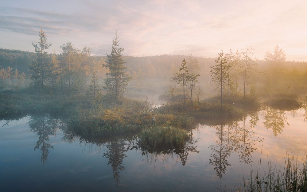 Туманным утром