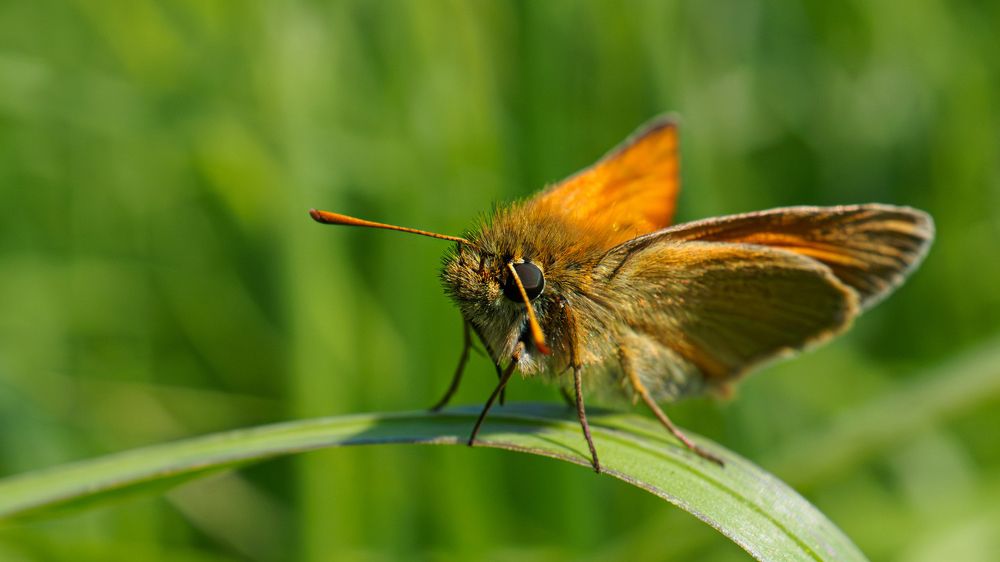 Photograph by Андрей Мичурин