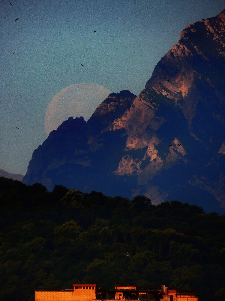 Photograph by Тимур Хохоев