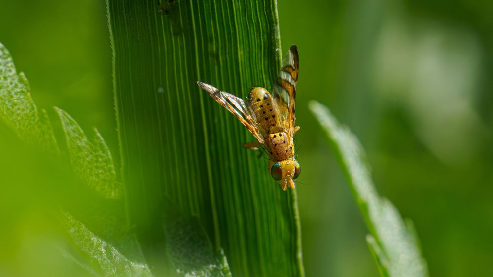 Photograph by Андрей Мичурин