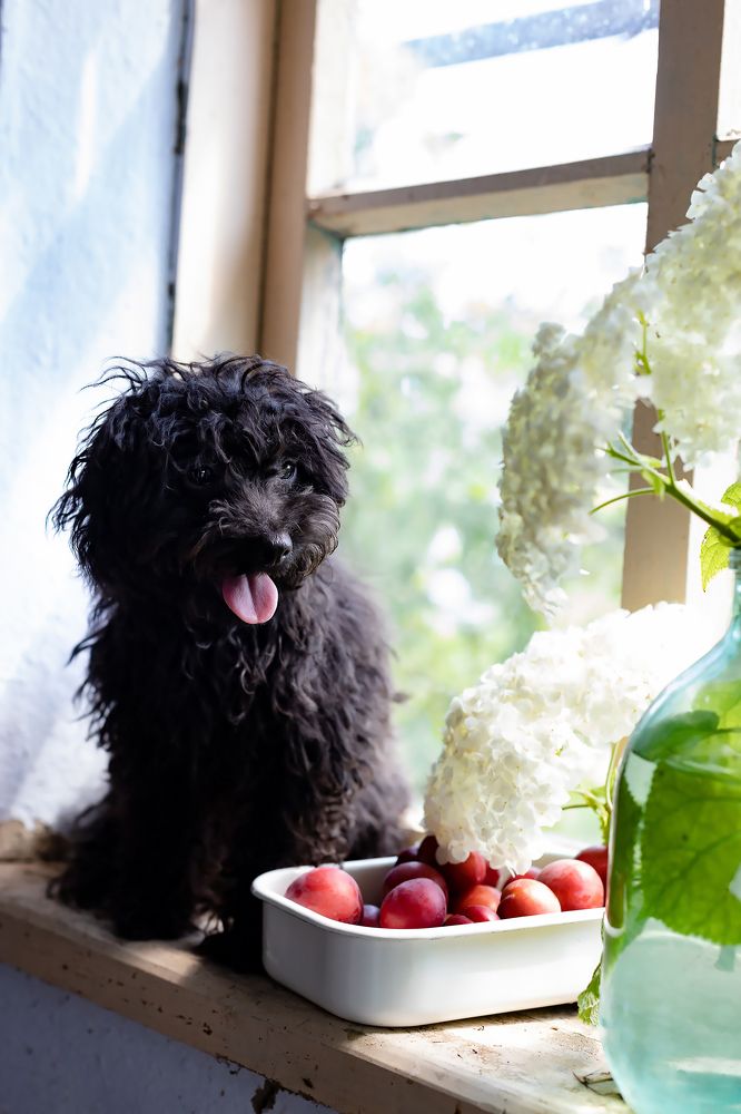 Photograph by Ольга Богданова