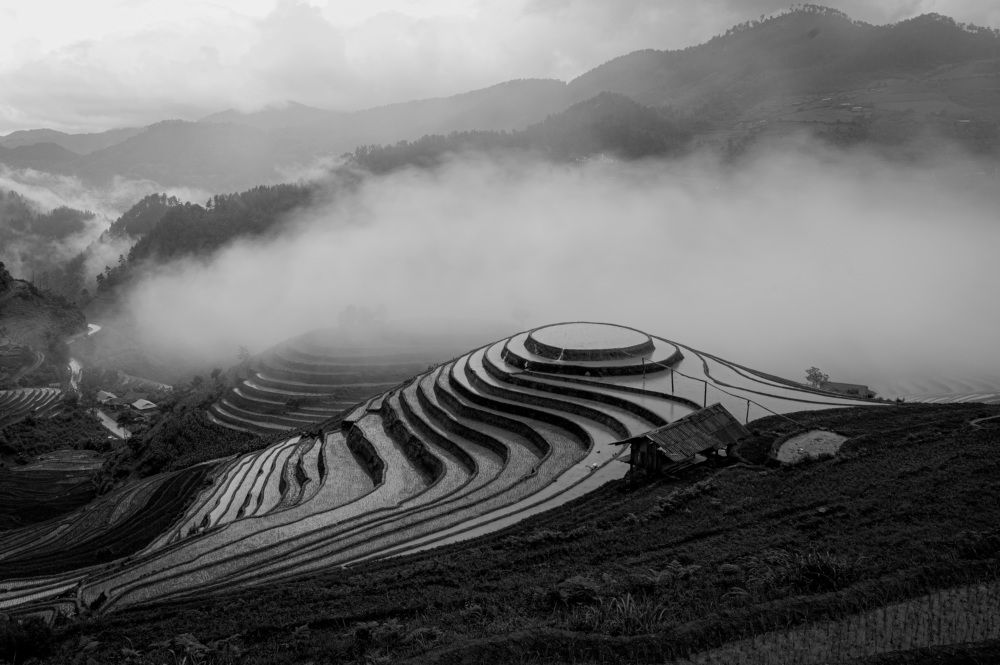 Photograph by Hanh P. T. Pham