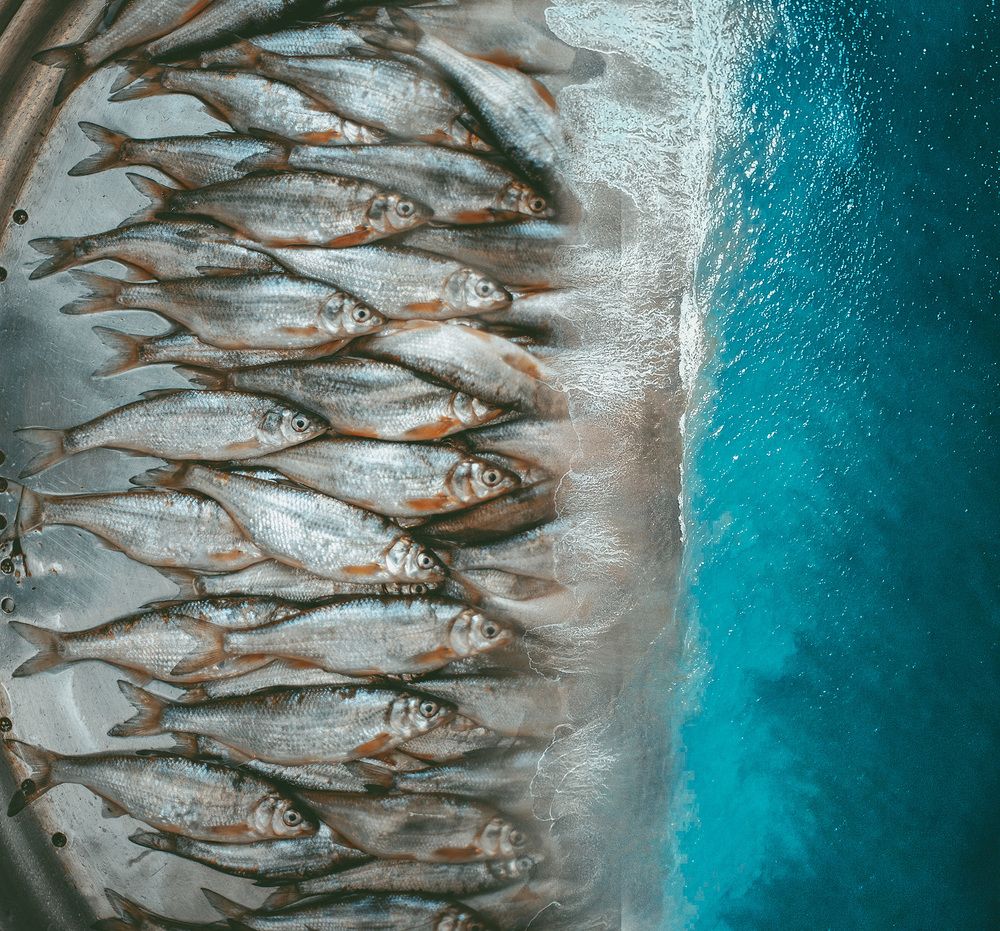 From local markets to tranquil landscapes.