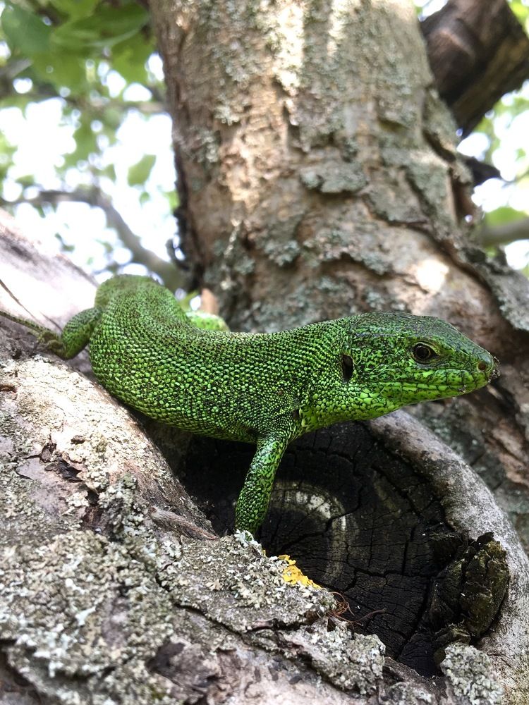 Фотография автора Бакалова Ирина