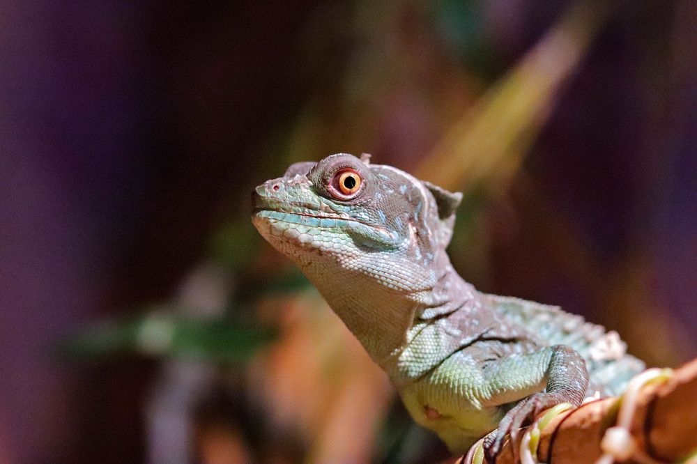 Photograph by Владимир Самосватов