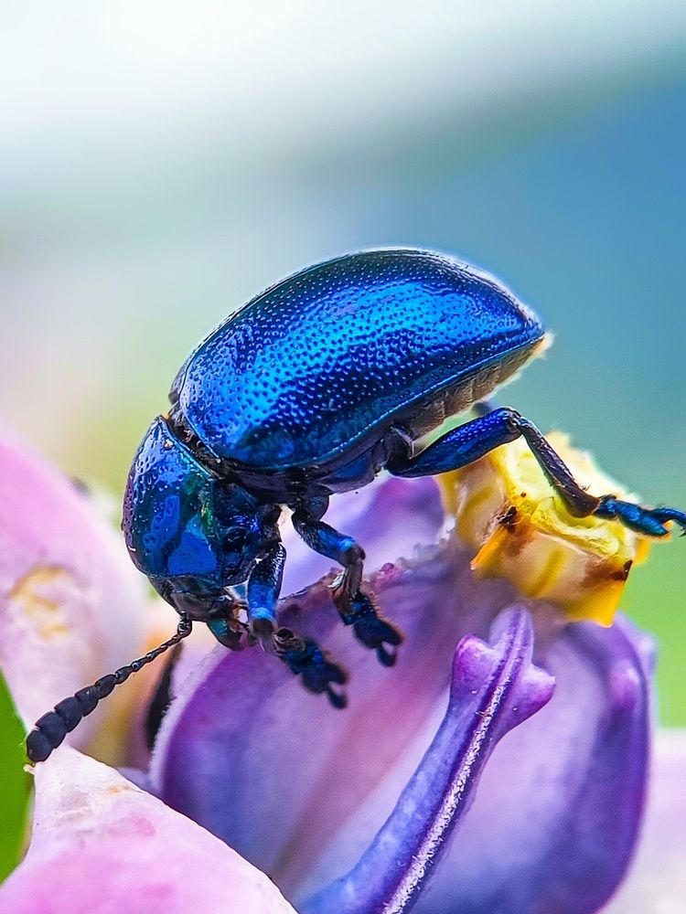 Photograph by SAIKAT PAL