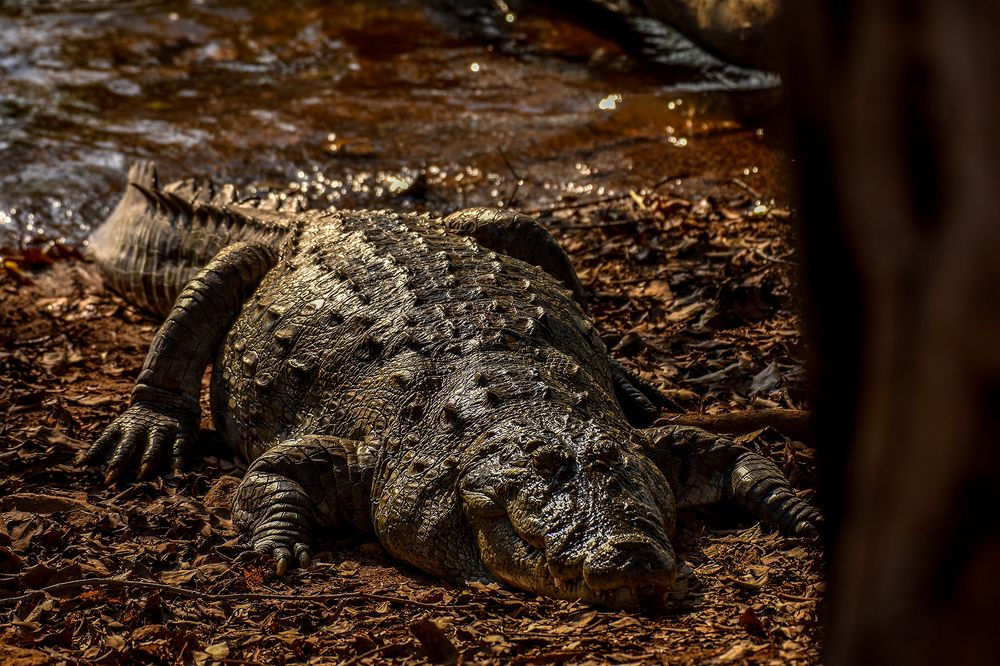 Photograph by Jaikumar Moorthi