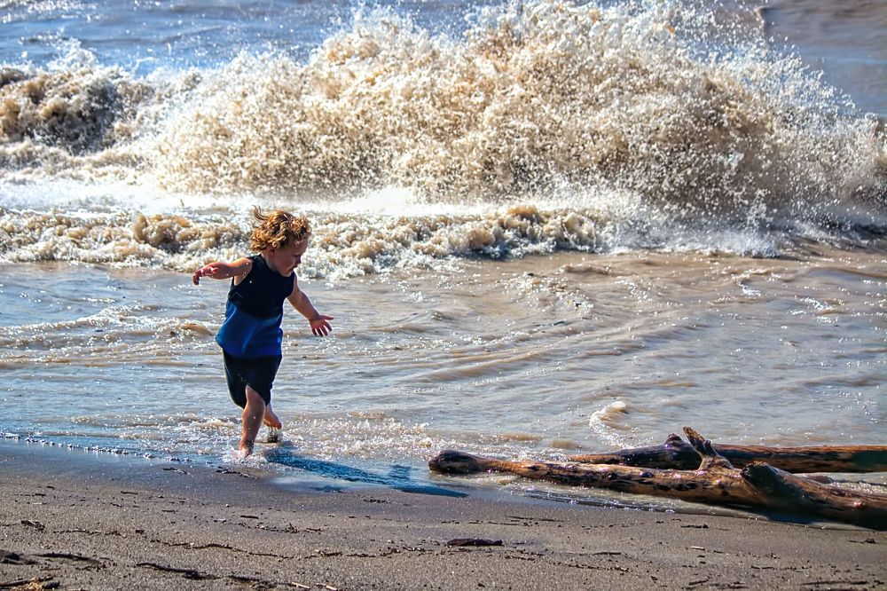 Photograph by A. G. Bisschop