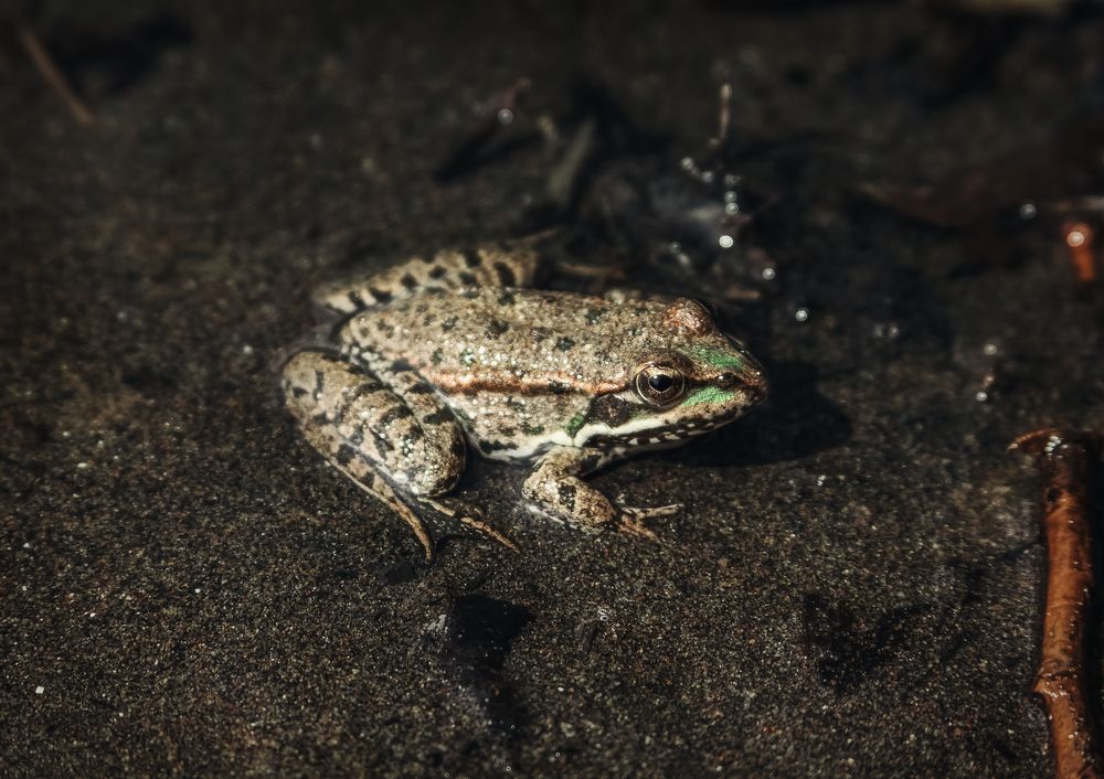 Photograph by Ольга Остапенко