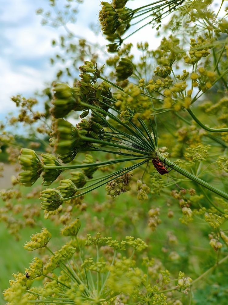 Photograph by Роза