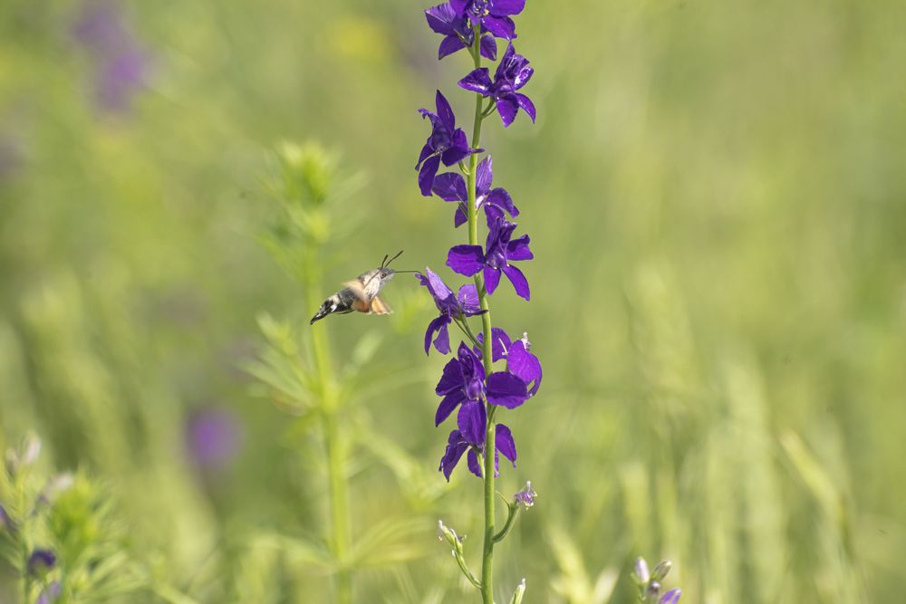 Photograph by Артем Шумов