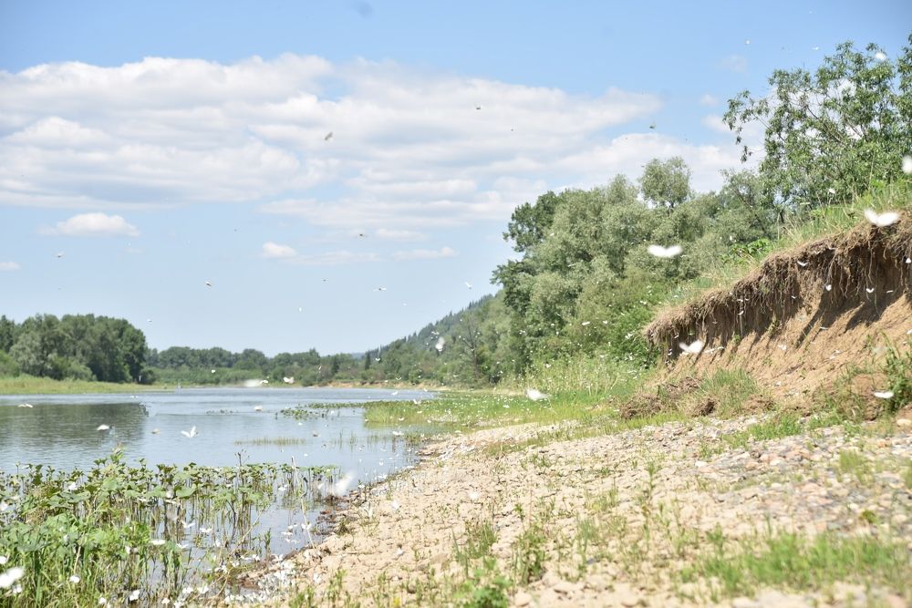 Photograph by Наталья Сорокина